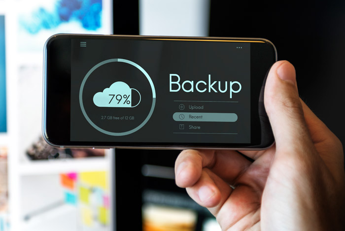 The Importance of Regular WordPress Backups